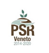 Regione Veneto
